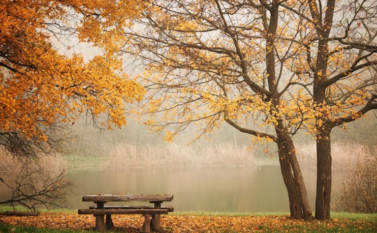 Bench autum park and lake